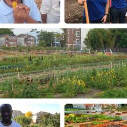 Greater Newark Conservancy