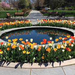 Colonial Park Gardens