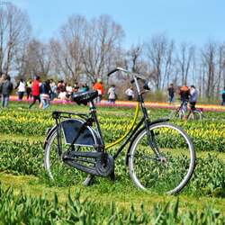 (Closed for the Season) Don't Drive To Holland - Drive to Holland Ridge Farms!