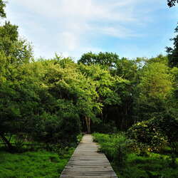 Cheesequake State Park
