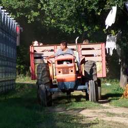 Hamilton Farms Greenhouses and Farm Market