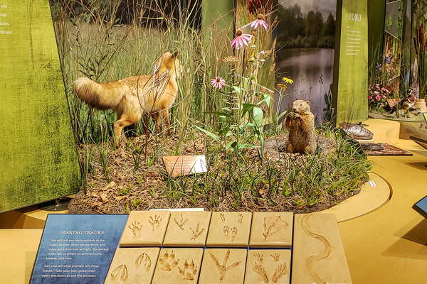 Fall HIking in Lord Sitrling Park