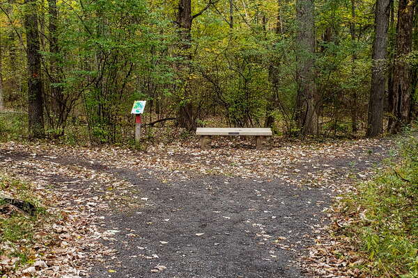 Fall HIking in Lord Sitrling Park