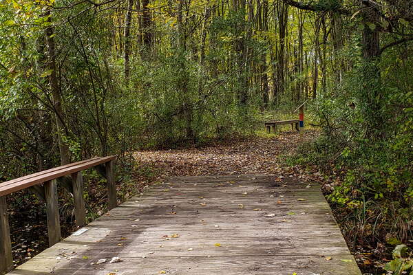 Fall HIking in Lord Sitrling Park