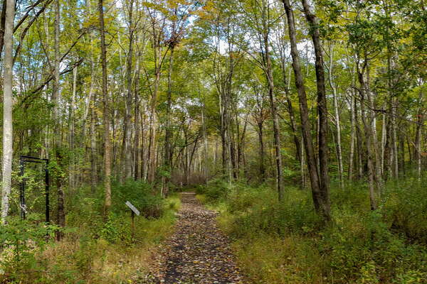 Fall HIking in Lord Sitrling Park