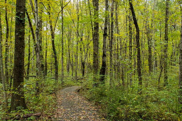 Fall HIking in Lord Sitrling Park