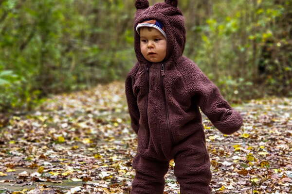 Fall HIking in Lord Sitrling Park