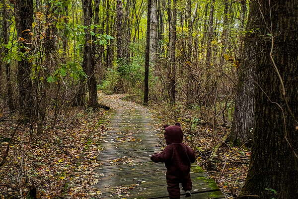 Fall HIking in Lord Sitrling Park