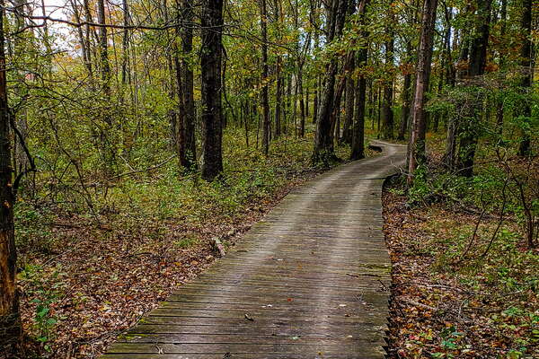 Trails in Lord Stirling Park