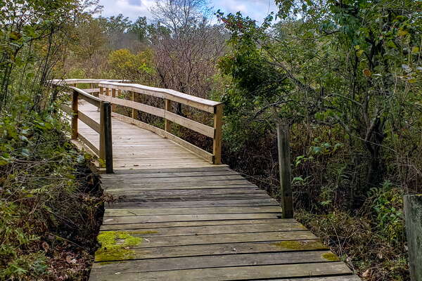 Fall HIking in Lord Sitrling Park