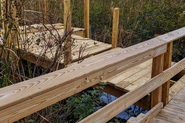 Fall HIking in Lord Sitrling Park