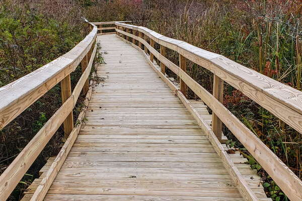 Fall HIking in Lord Sitrling Park