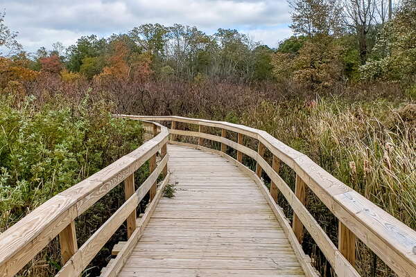 Fall HIking in Lord Sitrling Park