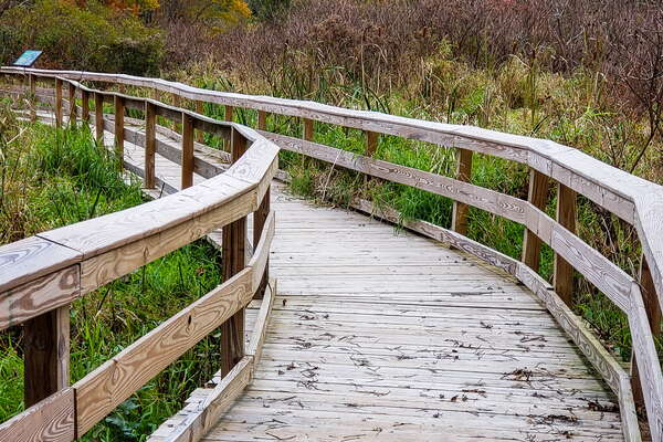 Fall HIking in Lord Sitrling Park