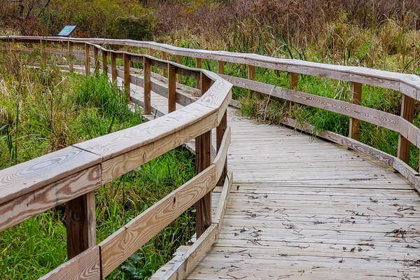 Fall HIking in Lord Sitrling Park