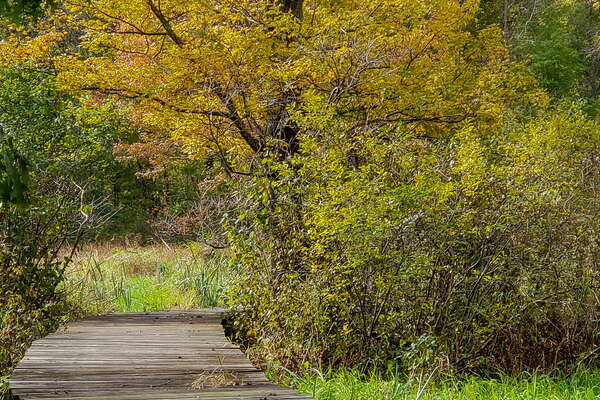 Fall HIking in Lord Sitrling Park