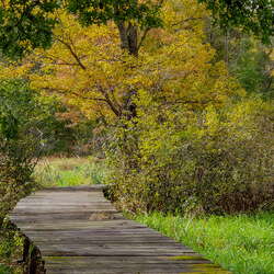 Photos from our hike through Lord Stirling Park (2018) - 10/24/2018