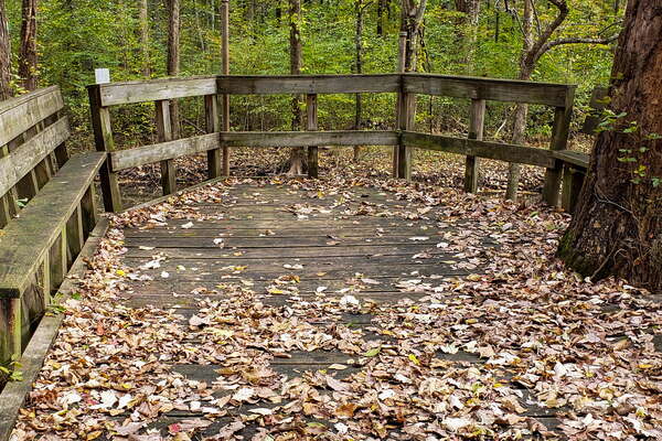 Fall HIking in Lord Sitrling Park