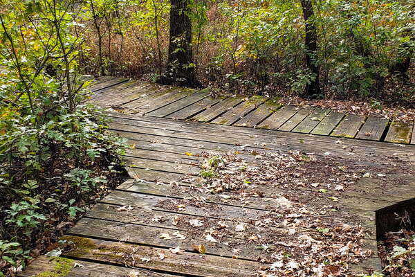 Fall HIking in Lord Sitrling Park