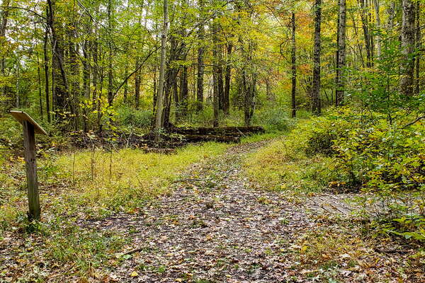 Fall HIking in Lord Sitrling Park
