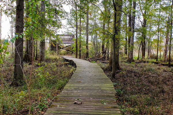 Fall HIking in Lord Sitrling Park