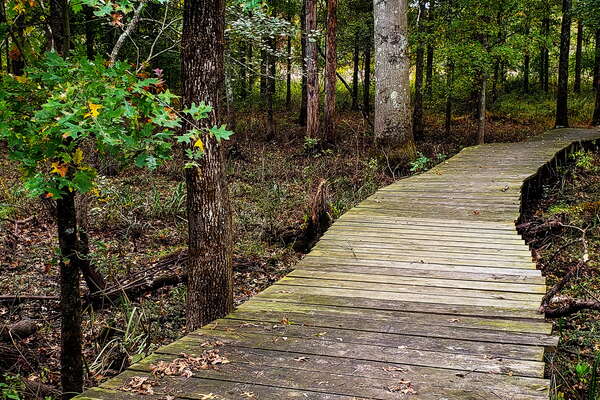 Fall HIking in Lord Sitrling Park
