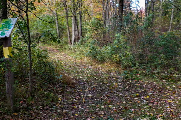 Fall HIking in Lord Sitrling Park