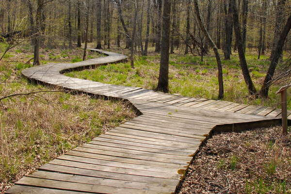 Trails in Lord Stirling Park