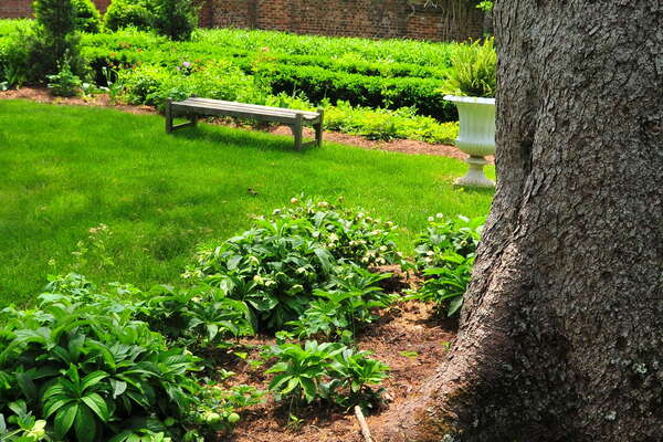 Morven Museum & Garden