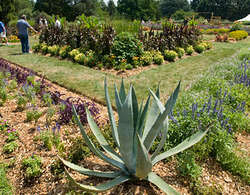 Rutgers Gardens - New Brunswick