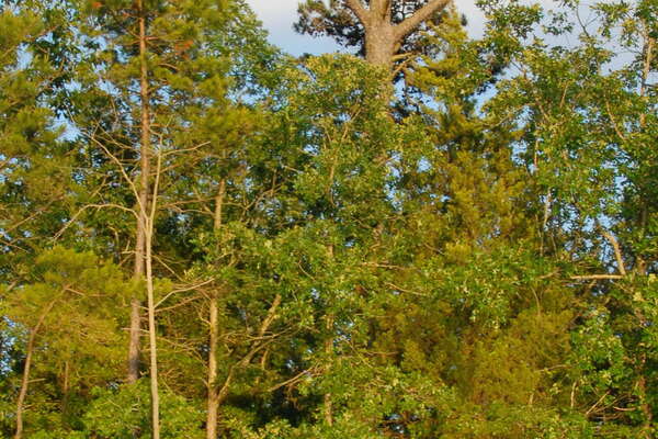 Manasquan River Wildlife Management Area