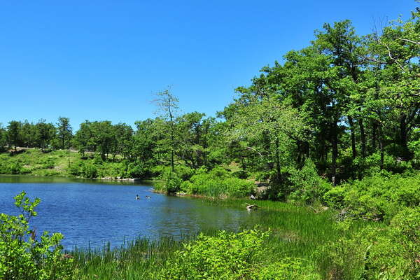 North side of the lake