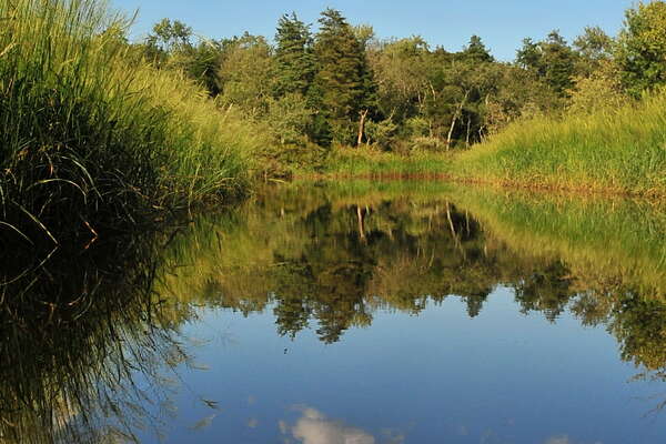Downstream on the Metedeconk - 5