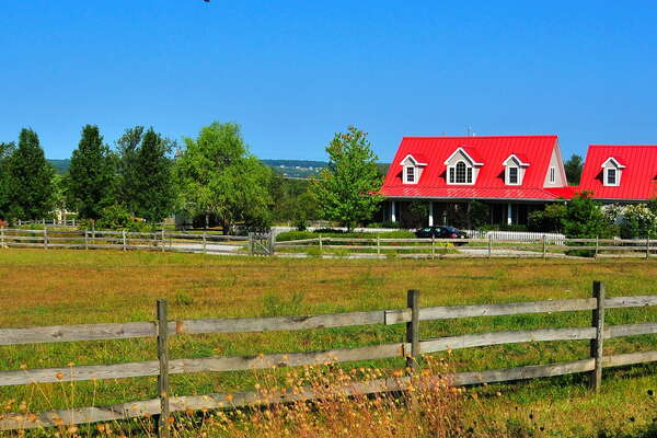 Scenic ride on the Black River and Western Railroad