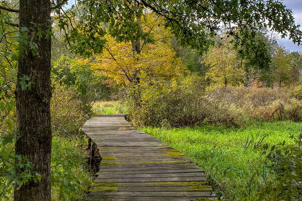 Fall HIking in Lord Sitrling Park