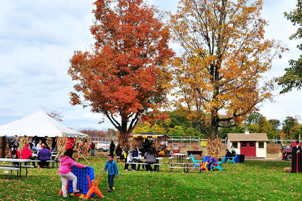 Snyders Farm Fall Festival - 2015