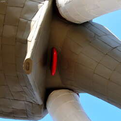 Lucy the Elephant (2016) - 07/09/2018