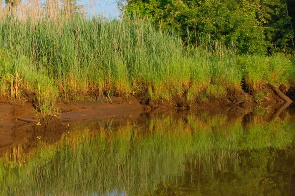 Manasquan River Wildlife Management Area