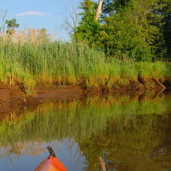 Paddling the Manasquan River Wildelife Management Area - 06/24/2008