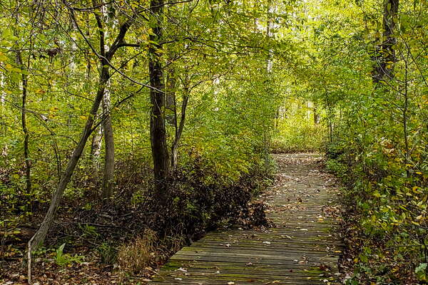 Fall HIking in Lord Sitrling Park