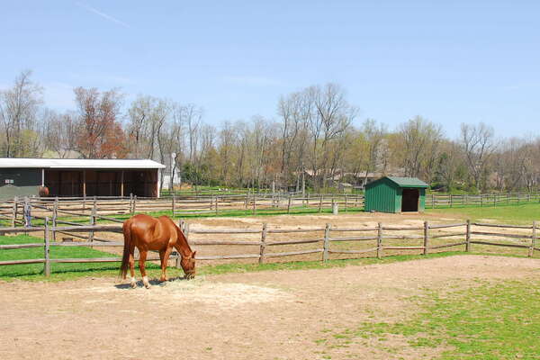 Lord Stirling Stable