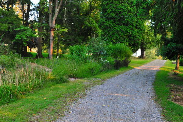 Nice walking paths / old roads