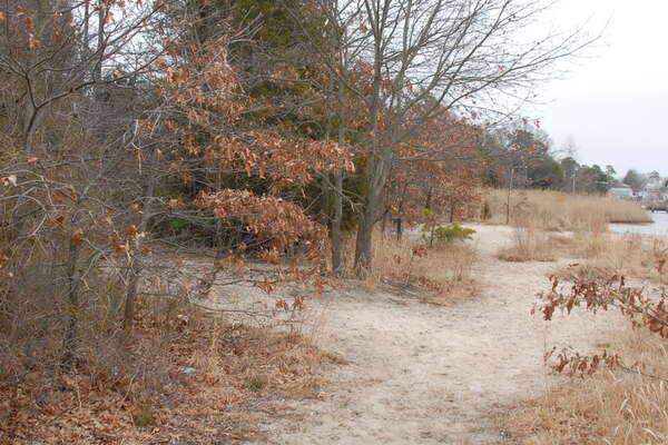 Sandy paths will be found