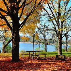 NJ Fall Colors This Weekend: Peak Up North, Just Starting Down South (Oct 16)