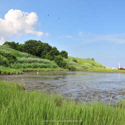 Gull Island County Park & Conservation Area