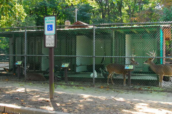 Animal Haven in Thompson Park