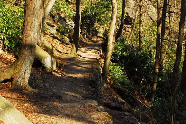 Glen Onoko Falls and Access Point