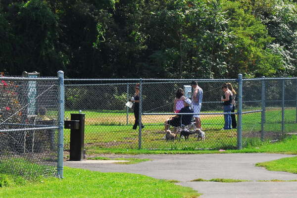 Thompson Park Dog Area