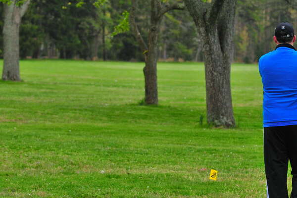 Around the tree Hole 7