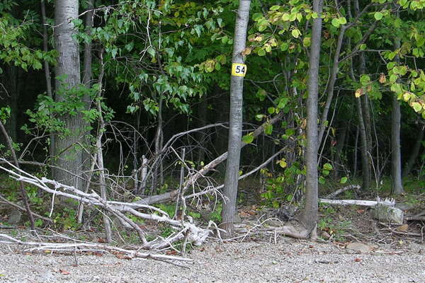 Shore entrance to campsite
